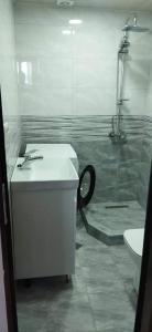 Koupelna v ubytování Guesthouse Zeinabi