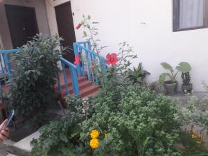 Zahrada ubytování Guesthouse Zeinabi