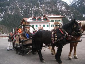 Hosté ubytování Hotel Ciamol