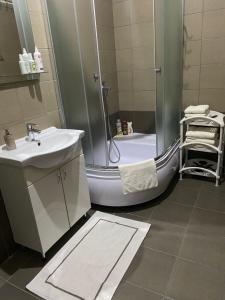 a bathroom with a shower and a sink and a tub at Apartments Skadarlija in Belgrade