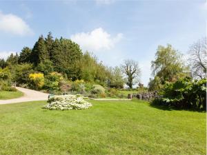 Un jardín fuera de Glyndwr Vineyard