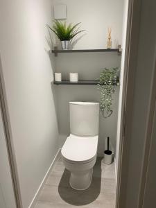 a bathroom with a toilet with plants on shelves at Appartement cosy, pied de pistes - Les deux alpes in Les Deux Alpes