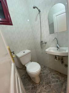 uma casa de banho com um WC e um lavatório em ALRahman Building em Aswan