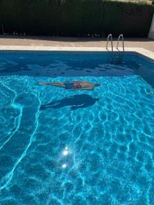 The swimming pool at or close to Apartamento Gasparot