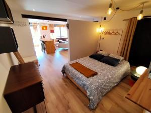 a bedroom with a bed and a living room at Loft Montaña Central in Aller