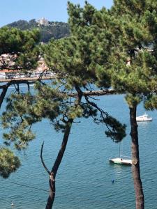 due alberi con una barca in acqua di Beach House Cabedelo a Viana do Castelo