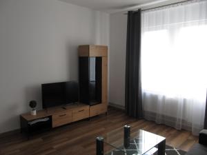 TV a/nebo společenská místnost v ubytování Appartment Ipsum