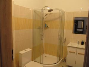 Koupelna v ubytování Appartment Ipsum
