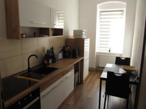 Kuchyň nebo kuchyňský kout v ubytování Appartment Ipsum