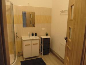 Koupelna v ubytování Appartment Ipsum