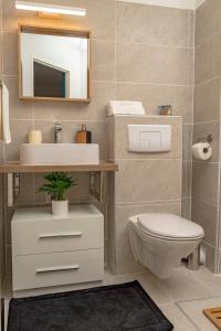 a bathroom with a toilet and a sink and a mirror at Studio à 5kms de la capitale et porte d'entrée vers Nord Caraïbes in Schœlcher