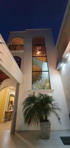 un bâtiment avec un palmier devant une fenêtre dans l'établissement Hotel Mina Vetagrande, à Zacatecas