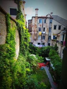 an ivy covered building with a garden in a city at B&B Venice 1964 in Venice