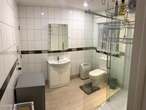 a bathroom with a toilet and a sink at Self Contained En-Suite Private Bathroom, Private Entrance, Close to Shops & Hospital Homestay in Hamilton