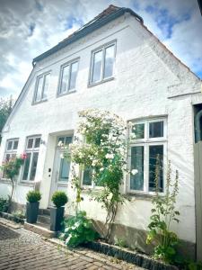 uma casa branca com plantas à frente em Fischerhuus em Eckernförde