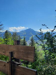 Příroda nedaleko apartmánu + 19 fotografií