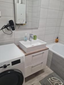 łazienka z umywalką i pralką w obiekcie Urban Apartman w Miszkolcu