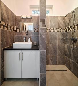 La salle de bains est pourvue d'un lavabo et d'une douche. dans l'établissement Fövenyes House, à Balatonudvari