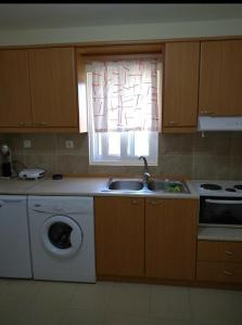 a kitchen with a sink and a washing machine at AGNANTI in Palekastron