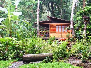a small wooden cabin in the middle of a forest at El Tucan Jungle Lodge in Puerto Viejo