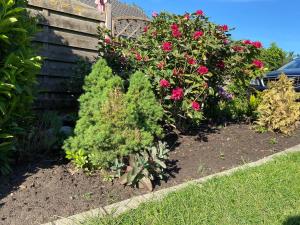 Ein Garten an der Unterkunft Ferienhaus Wacholderhain