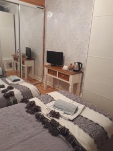 een slaapkamer met 2 bedden, een televisie en een bureau bij Edenroc in Perth