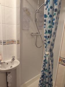 y baño con cortina de ducha y lavamanos. en Edenroc, en Perth
