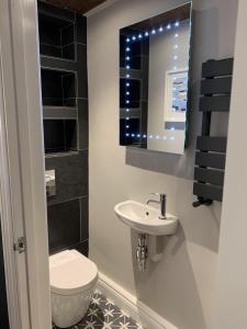 a bathroom with a toilet and a sink and a mirror at Min-Y-Fford sleeps 6 plus pet in Newport Pembrokeshire +23 photos