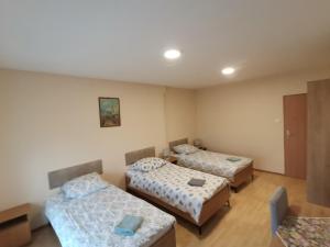 a room with three beds in a room at Hostel "Na Bocianowie" in Bydgoszcz