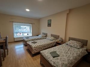 Habitación con 3 camas, mesa y ventana en Hostel "Na Bocianowie", en Bydgoszcz