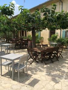 Galeriebild der Unterkunft Domaine De Fraisse in Leuc + 40 Fotos