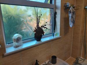 a bathroom with a window with a plant on a sink at Heronsgate GH008 in Thamesmead