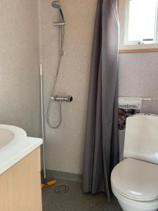 e bagno con doccia, servizi igienici e lavandino. di Thyborøn Cottages a Thyborøn Altre 31 foto