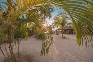 a palm tree on a sandy beach with a hut at The Lazy Lodge in Ko Lanta