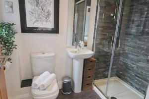 a bathroom with a toilet and a sink and a shower at Contemporary 2 Bedroom Apartment with Parking in Bristol