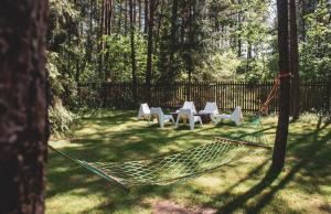 Ogród w obiekcie Jarzębinowa - Dom do wynajęcia na Podlasiu