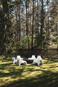 Ogród w obiekcie Jarzębinowa - Dom do wynajęcia na Podlasiu