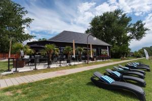 rząd szezlonków siedzących na trawie przed budynkiem w obiekcie Waterfront Lodge w mieście Dunapataj