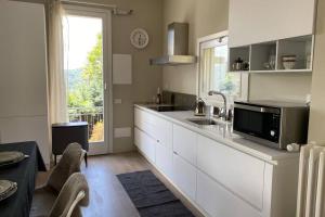a kitchen with a sink and a counter with a microwave at i FAGGI ROSSI - RED BEECH TREES in Como