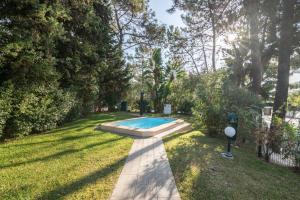 a backyard with a swimming pool in the grass at Apartamento Malick - Balaia in Albufeira