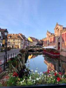 Un río en una ciudad con edificios y un puente. en Gîtes La Petite Venise Colmar, en Colmar