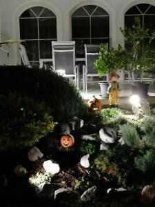 a garden with rocks and plants in a yard at Judit Vendégház in Bük