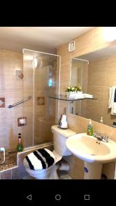 a bathroom with a shower and a toilet and a sink at Beach-side condos at Turtle Beach Towers in Ocho Rios