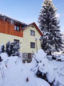 ein Haus mit einem schneebedeckten Baum davor in der Unterkunft Privat Pohoda in Paseky nad Jizerou