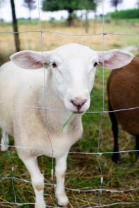 Gallery image of Landapartments Smitmans in Kerken +46 photos