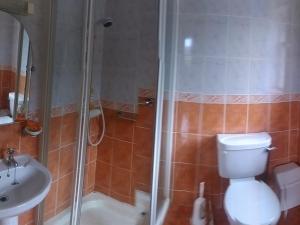 La salle de bains est pourvue d'une douche, de toilettes et d'un lavabo. dans l'établissement Dun Cromain B&B, à Banagher