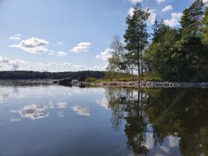 a large body of water with trees on the shore at Lövåsängen in Årjäng