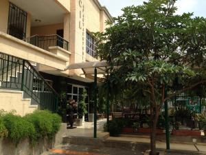 a building with a tree in front of a building at Cecil Aparta Estudios in Barranquilla