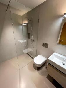 Kúpeľňa v ubytovaní Ultra Luxurious 2-family Apartment on the Slopes in Arosa, CH