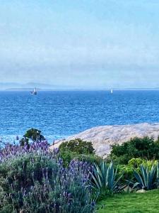 een uitzicht op de oceaan met twee boten in het water bij Bosky Dell on Boulders Beach in Simonʼs Town